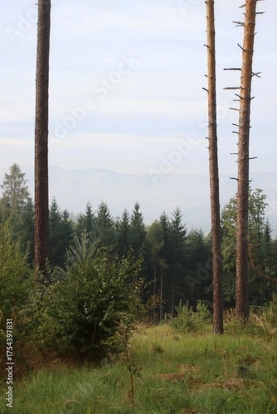 Fototapeta cloudy and inversion in the valley.