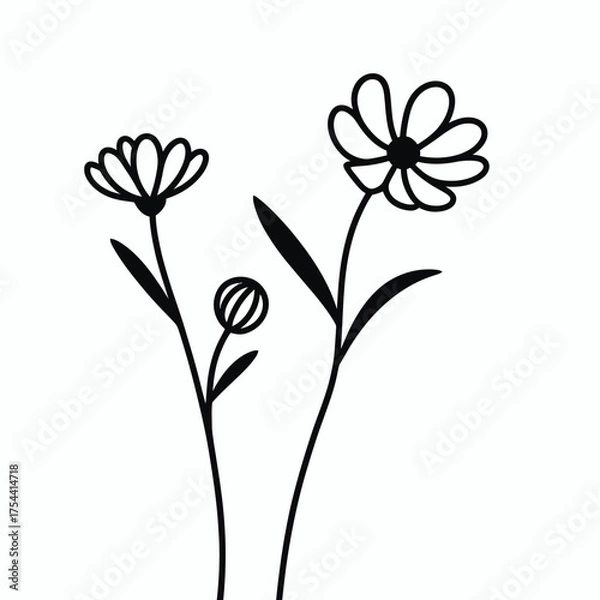 Fototapeta Minimalist vector illustration of delicate flowers with bud and open petals scalable eps art silhouette vector illustration white background