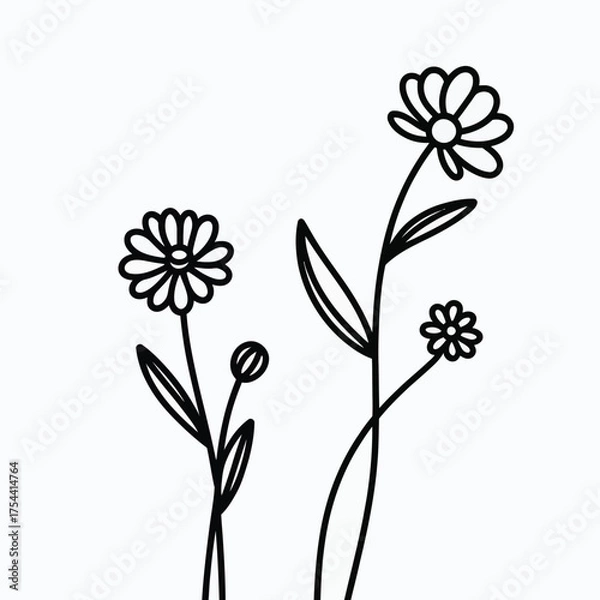 Fototapeta Vector illustration of delicate line art flowers ideal for scalable graphic design projects eps format silhouette vector illustration white background