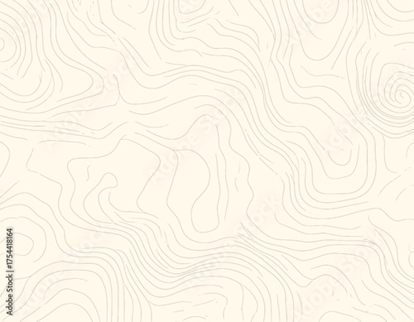 Fototapeta Topographic Map Contour Lines Seamless Pattern.