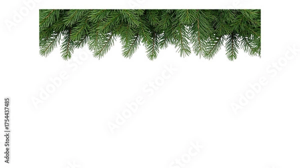 Fototapeta pine leaf border png