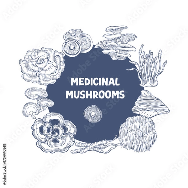 Fototapeta Vector illustration with functional and medicinal mushrooms in engraving style