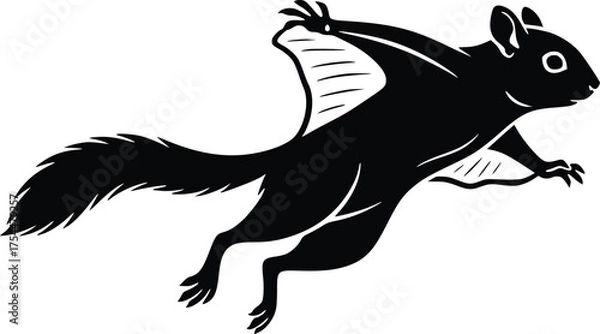 Obraz Flying squirrel silhouette in mid-air, black and white vector icon.