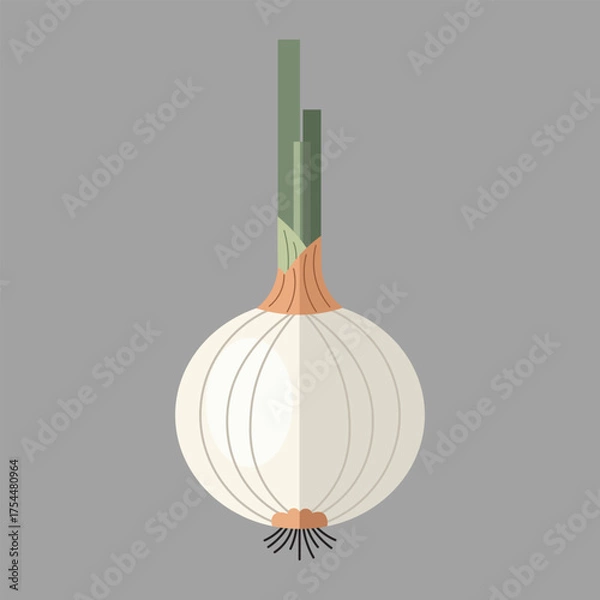 Obraz Flat White Onion Vector with Green Stems