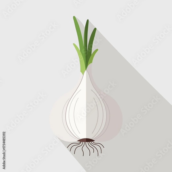 Obraz Flat Garlic Bulb Vector with Green Stems