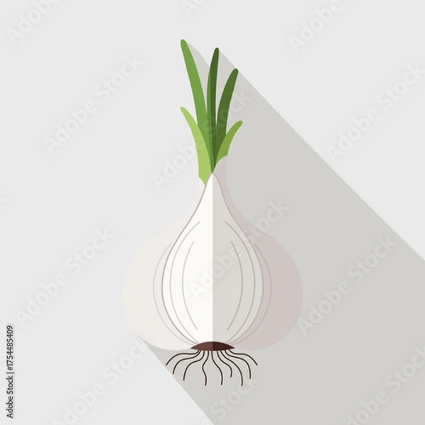 Obraz Flat Garlic Bulb Vector with Green Stems