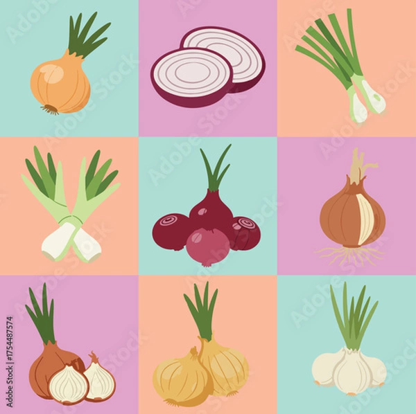 Fototapeta set illustration vector graphic of various types of onions