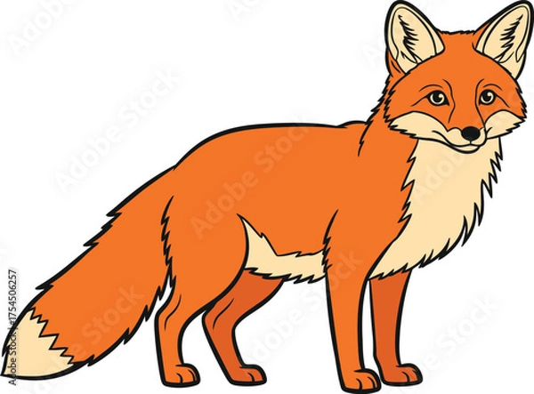 Obraz Red Fox Cartoon vector Illustration