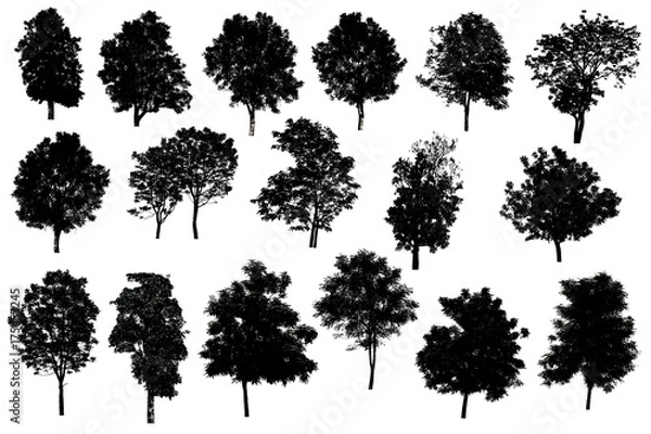 Fototapeta Collection Of Silhouette Of tree Isolated On White Background