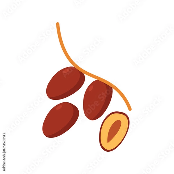 Fototapeta Minimalist vector illustration of ripe brown dates on a stem, one split open showing the seed inside. Simple flat design, isolated on white background for food, nutrition, and healthy diet themes.