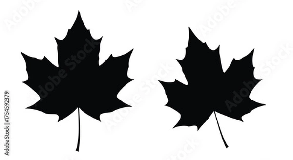 Fototapeta Two black silhouettes of maple leaves against a bright white background