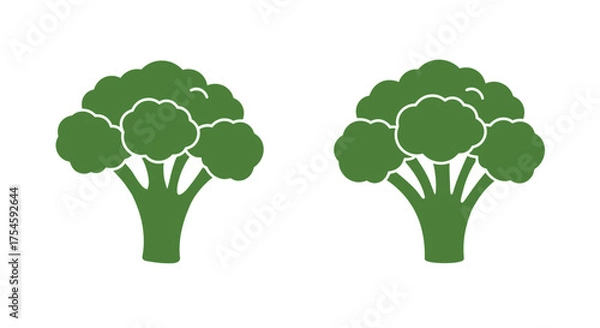 Obraz Two green broccoli florets a simple and healthy vegetable illustration