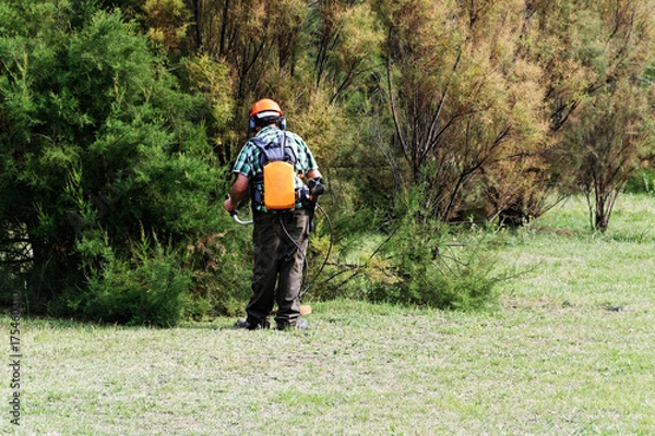 Obraz Débroussaillage