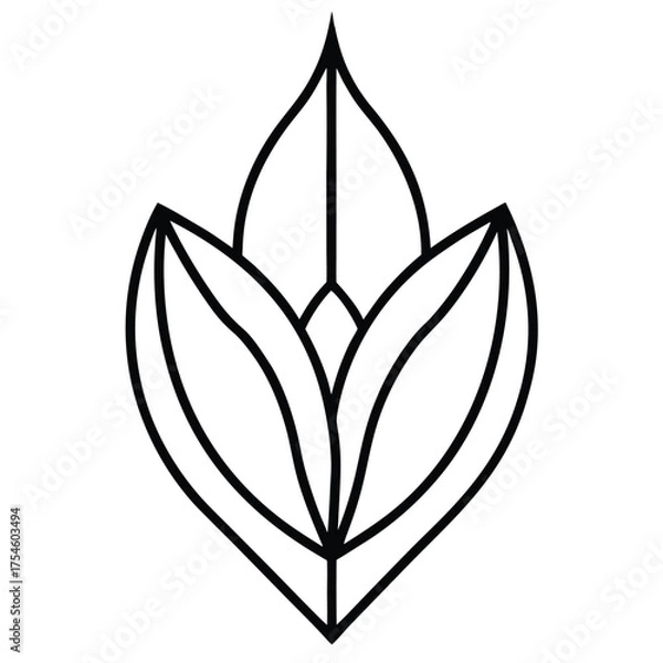 Fototapeta Elegant Abstract Floral Symmetry Design With Organic Shapes