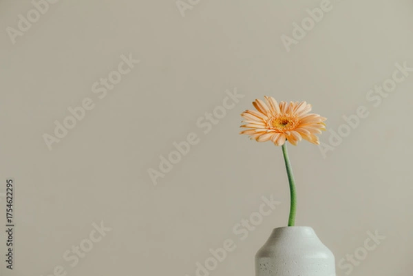 Obraz ガーベラの一輪挿し