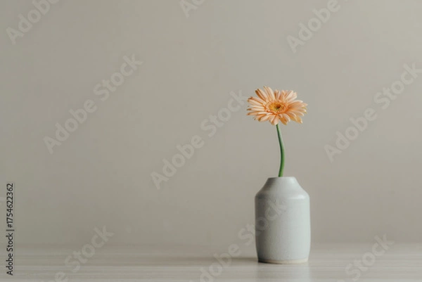 Obraz ガーベラの一輪挿し