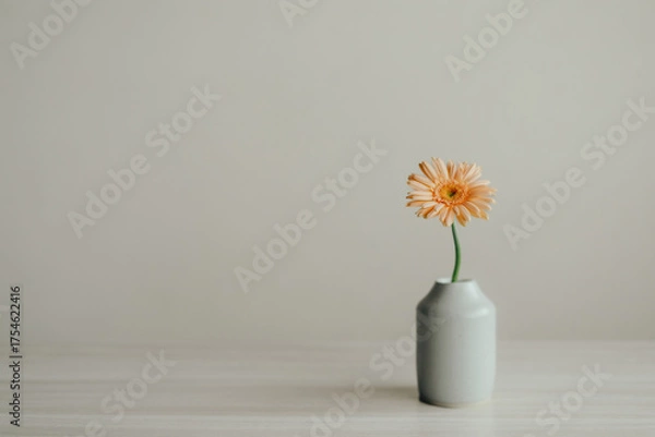Fototapeta ガーベラの一輪挿し