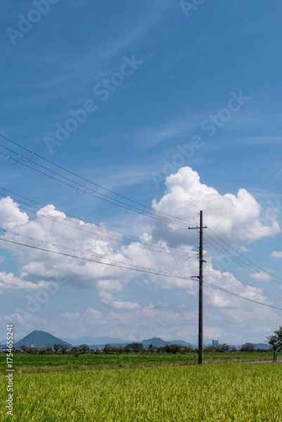 Obraz 青空と雲　電柱がある郊外の道　滋賀県草津市