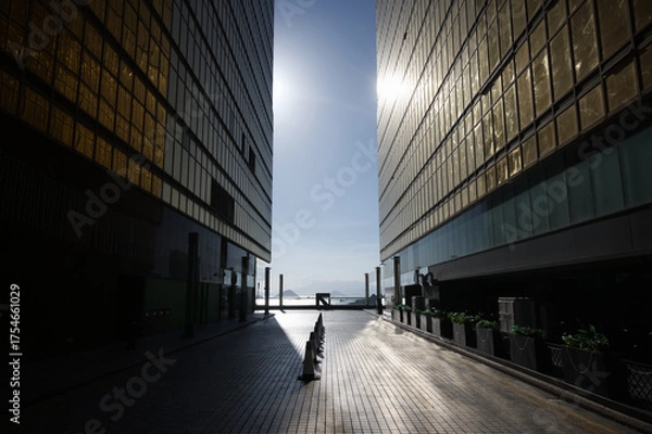 Fototapeta ビルに反射した夕陽