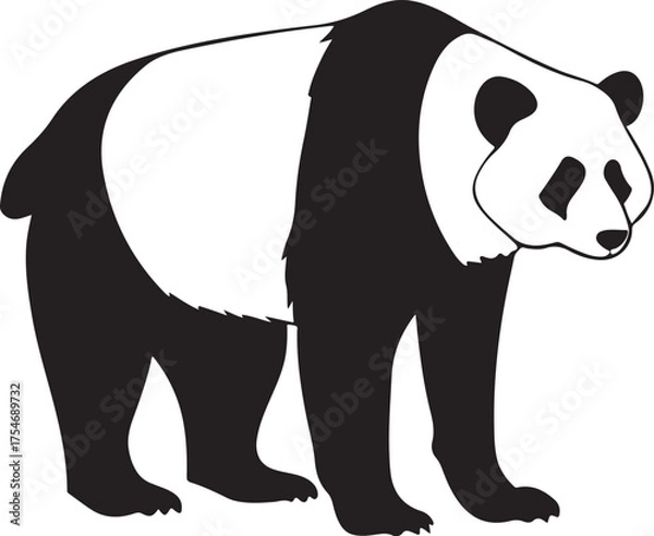 Obraz panda bear vector illustration