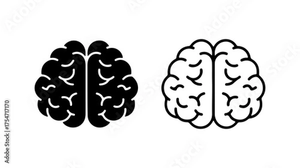 Fototapeta Brain anatomy outline with transparent background