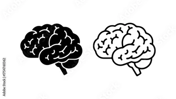 Obraz Brain anatomy outline with transparent background