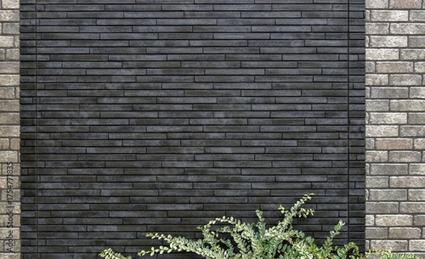 Obraz 外壁と植物の背景素材