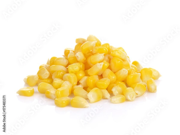 Obraz corn isolated on white  background