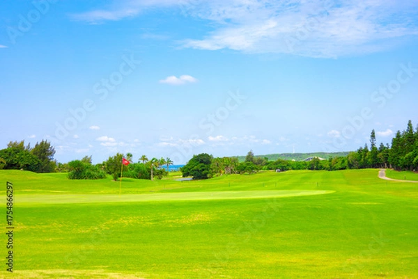 Obraz 爽やかな南国の青空と青い海・ヤシの木と鮮やかな芝が映えるリゾートのゴルフ場（沖縄県宮古島市）