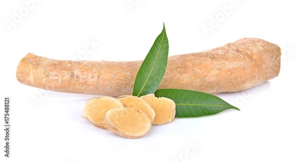 Obraz  Eurycoma longifolia  on white background.