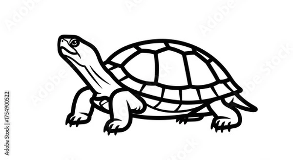 Obraz Simple black and white line art illustration of a turtle.
