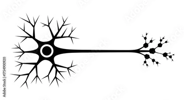 Obraz Simple vector illustration of a single nerve cell.