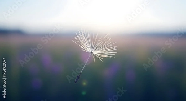 Obraz Close-up shot of a single metal whisk for cooking and baking kitchen utensil