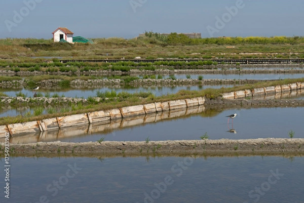 Obraz Salt pans and stilts in Aveiro Portugal
