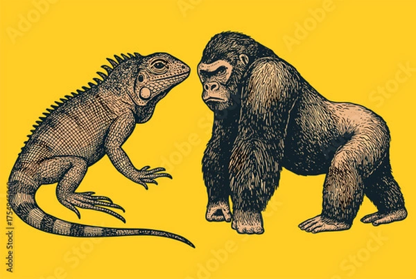 Fototapeta Hand drawn vintage engraving of iguana and gorilla in detailed naturalist style on a yellow background.