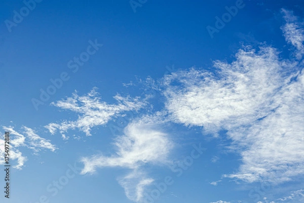 Fototapeta White Clouds in a Blue Sky