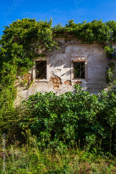 Obraz A sunlit, abandoned building facade