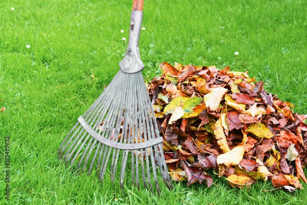 Obraz Rechen und Laubhaufen