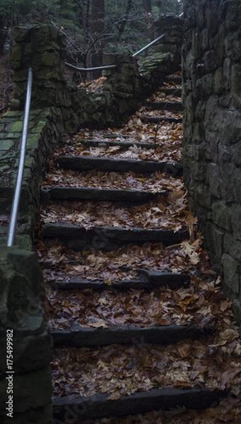 Obraz Stairs