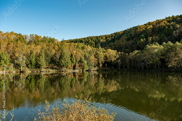 Obraz 志賀高原 木戸池