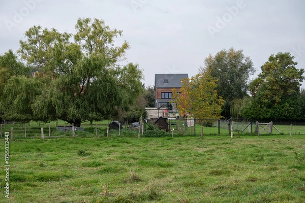 Obraz Green lawn and rural scene in Korbeek Dijle, Bertem, Flemish Brabant, Belgium