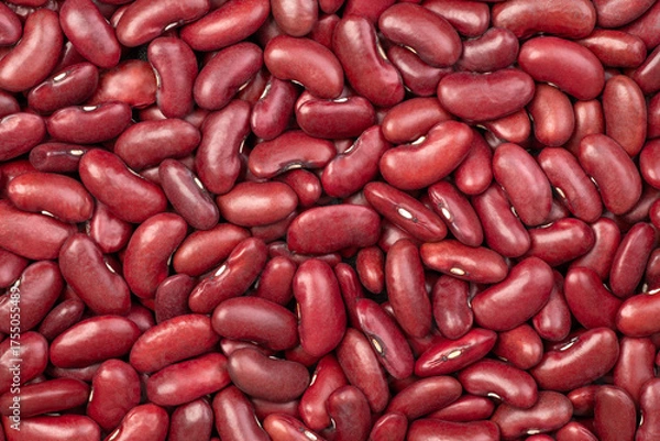 Obraz Red kidney beans background