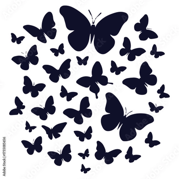 Obraz Purple Winged Butterfly Macro View