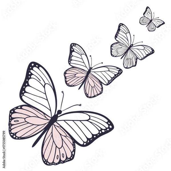 Fototapeta White Butterfly on Green Background