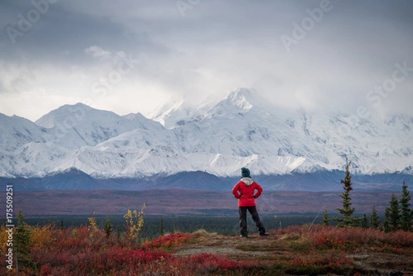 Obraz Hiker posing in front of Mount Denali