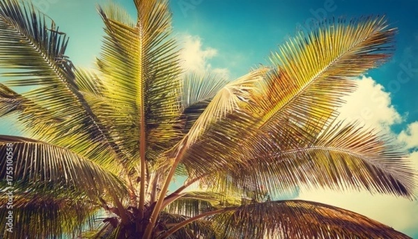 Fototapeta Coconut Palm Tree Foliage Under Sky Vintage Background Retro Toned Poster