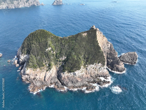 Obraz 愛媛県愛南町　大猿島