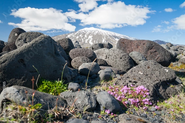 Fototapeta landscape on snaefellsnes peninsula with snaefellsjokull in background