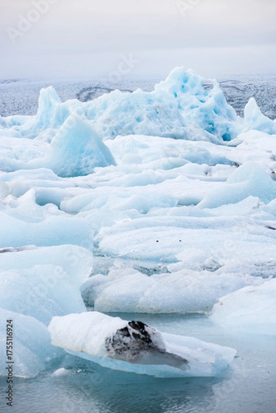 Fototapeta Ice floes on glacier lagoon Jokulsarlon in Iceland