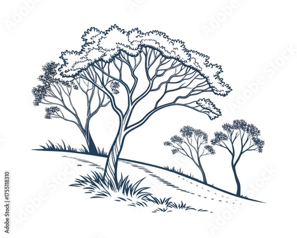 Fototapeta Illustration of Trees on a Hillside Landscape with Winding Path and Grasses in Serene Monochromatic Design